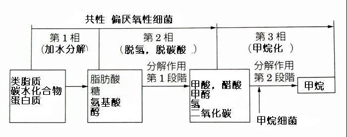 可回收再利用的塑料袋:可生物降解塑料(圖3)