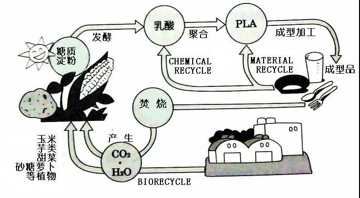 可生物降解環(huán)保塑料可以回收再利用嗎？(圖4)