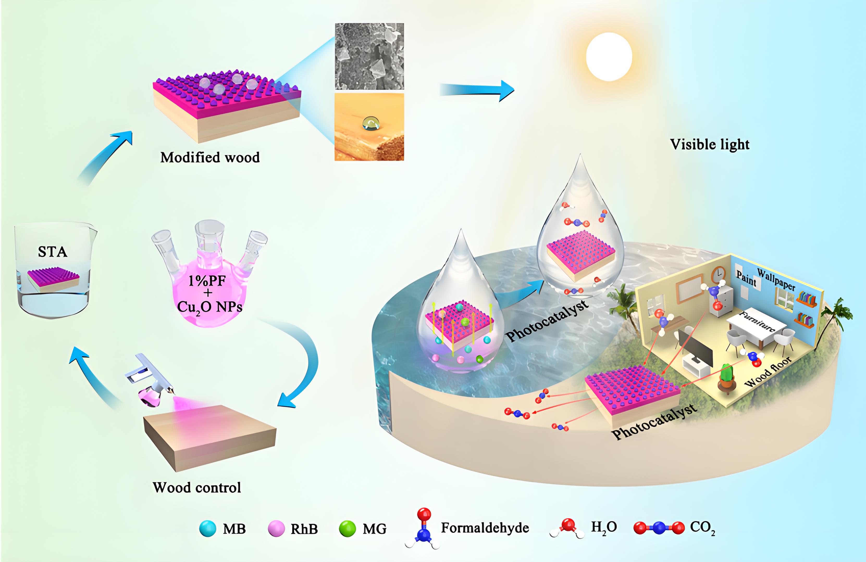 光降解和生物降解塑料袋區(qū)別？(圖1)