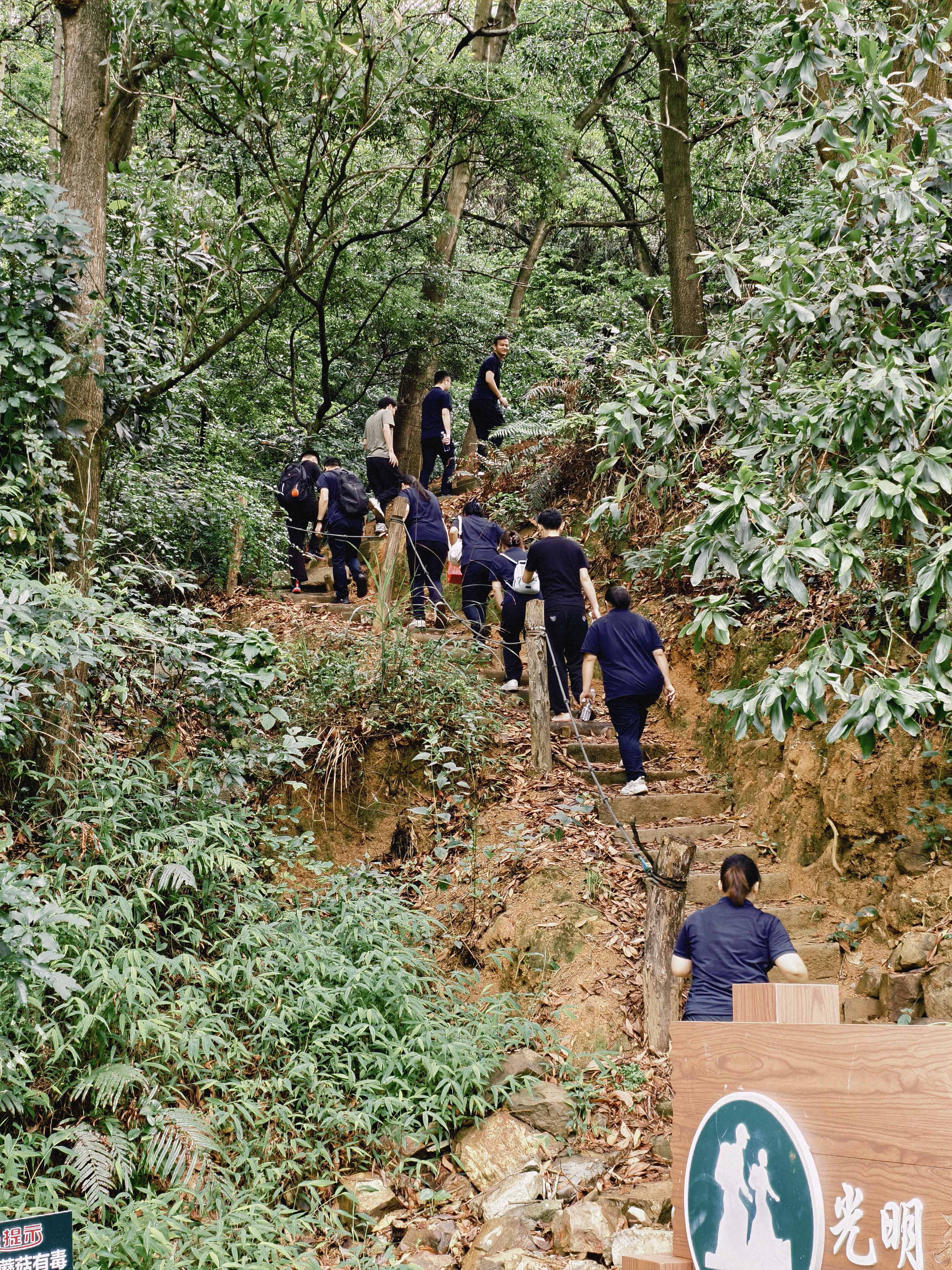 久信達(dá)科技公司員工齊聚光明區(qū)蠄蜍石，開(kāi)啟活力爬山之旅暨團(tuán)建活動(dòng)(圖2)