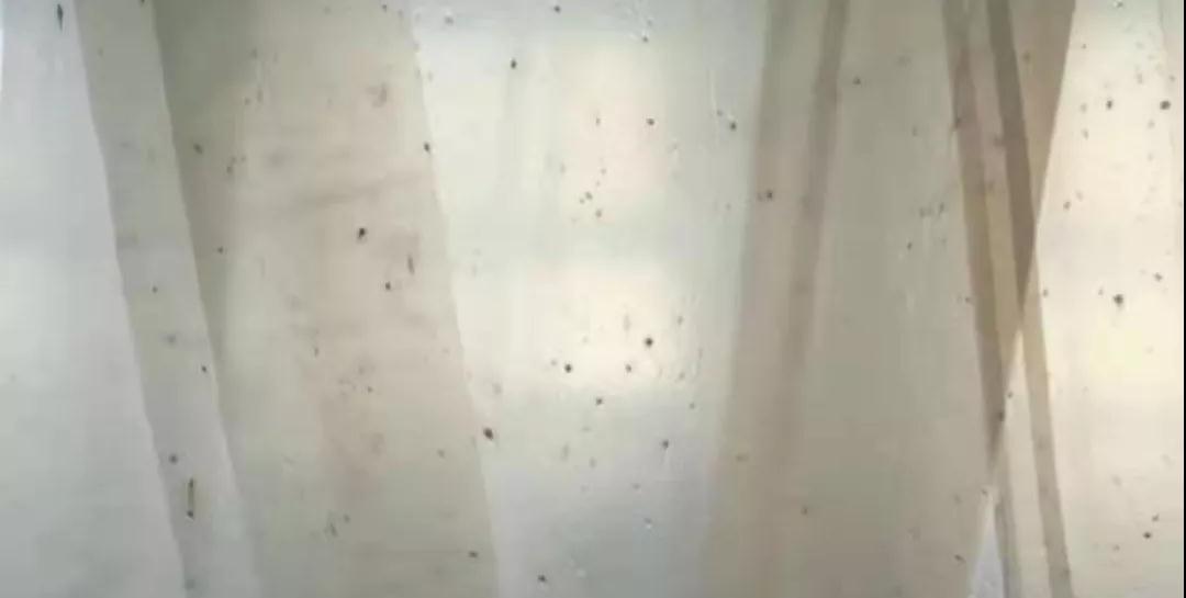 PBAT膜袋有黑點(diǎn)是什么原因？(圖1)